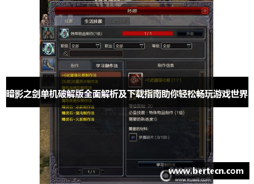 暗影之剑单机破解版全面解析及下载指南助你轻松畅玩游戏世界